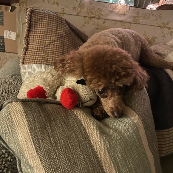 Meet your Posher, Jill - Picture 7 of 7